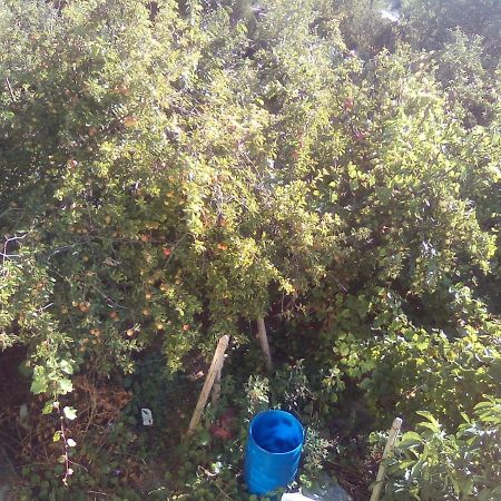 Вилна Зона Златни Пясъци, Спирка Ален Мак فارنا المظهر الخارجي الصورة