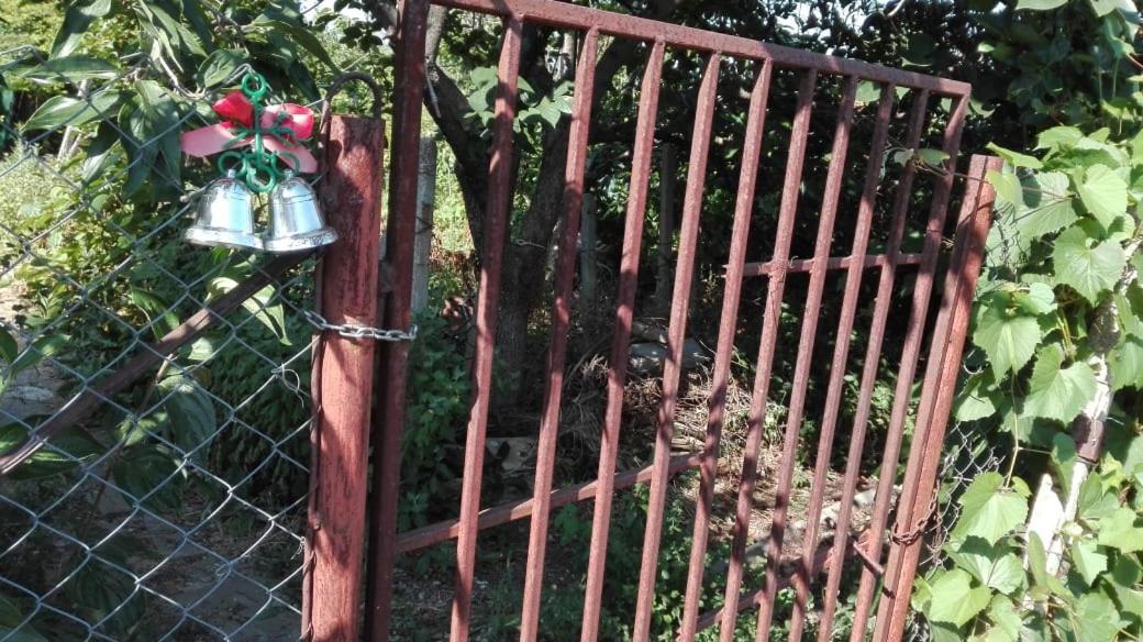 Вилна Зона Златни Пясъци, Спирка Ален Мак فارنا المظهر الخارجي الصورة