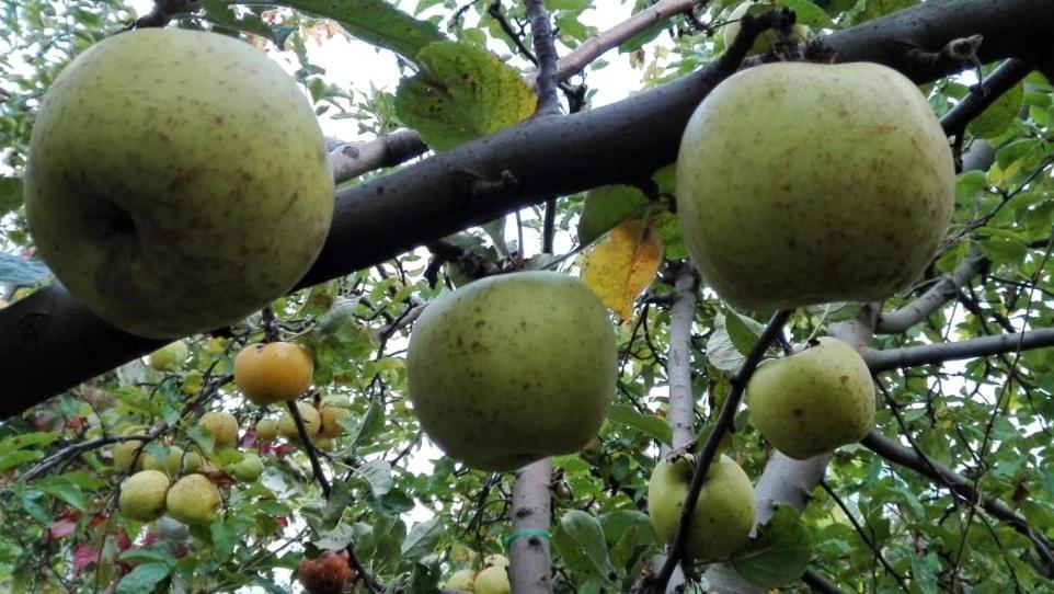 Вилна Зона Златни Пясъци, Спирка Ален Мак فارنا المظهر الخارجي الصورة